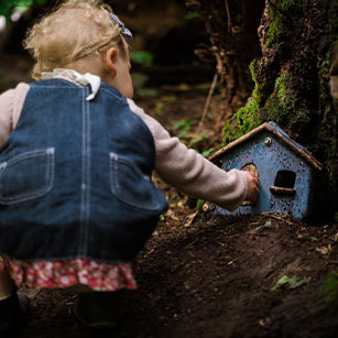 Fairy Door Walk