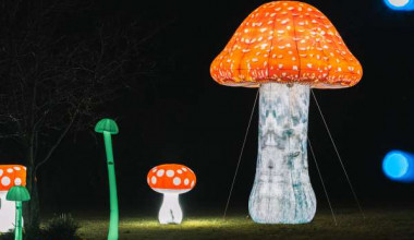 The Hanmer Springs Alpine Winter Festival 2024